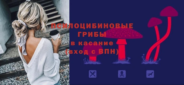 шишки Алексеевка