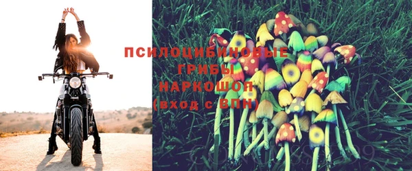 шишки Алексеевка
