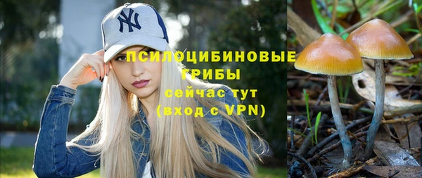 шишки Алексеевка