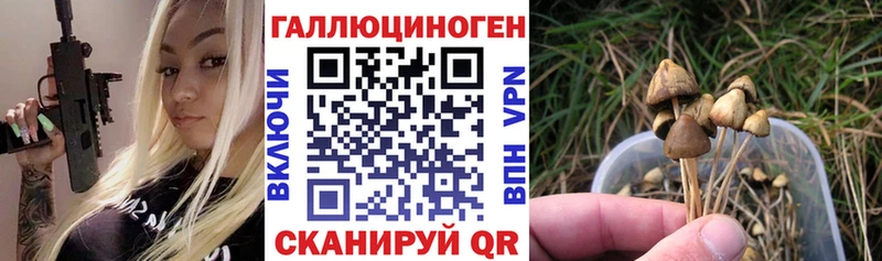 ссылка на мегу ссылка  Электрогорск  Галлюциногенные грибы MAGIC MUSHROOMS 