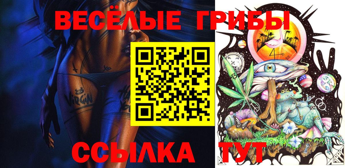 даркнет сайт  Электрогорск  Псилоцибиновые грибы Cubensis 