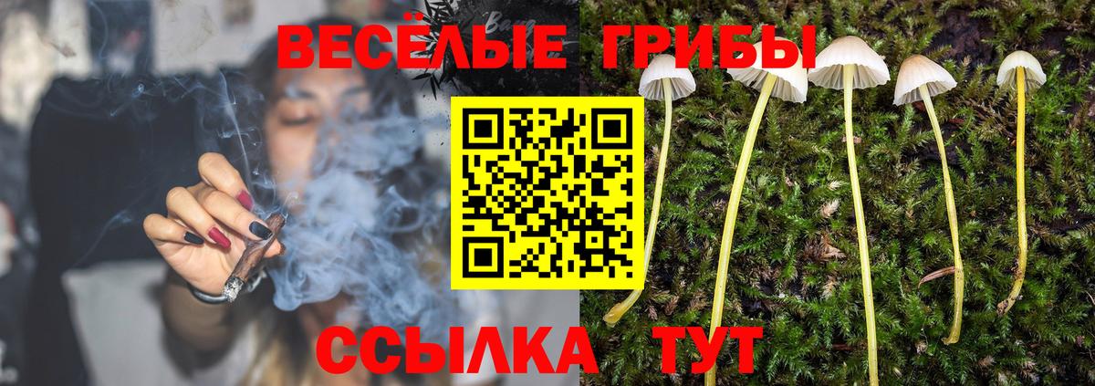 Электрогорск  Псилоцибиновые грибы мицелий  закладки  Вход с VPN  Галлюциногенные грибы MAGIC MUSHROOMS 