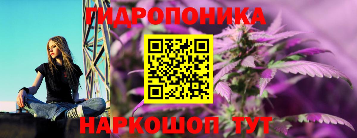 Электрогорск  Бошки марихуана AK-47  Бошки марихуана индика  Вход с VPN 
